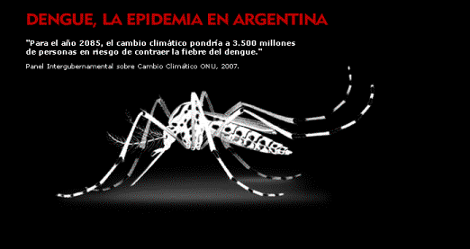 Dengue, la epidemia en Argentina